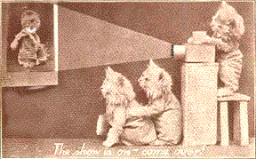 Atlanta Cat Film Festival