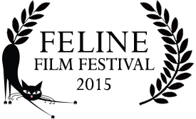 Feline Film Festival
