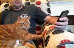 Cat Video Festival Atlanta