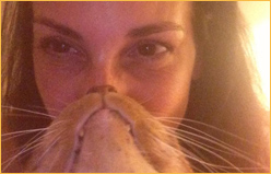 Cat Film Fest in Atlanta